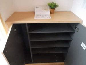 パストラルキノシタⅡ B106号-3