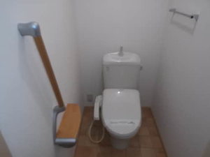 パストラルキノシタⅡ B207号-10