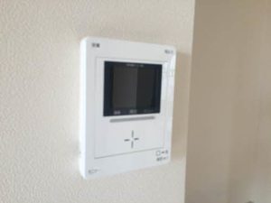 メノマーレＣ 0201号-12