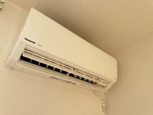 ラッフィナ－ト 0102号-12