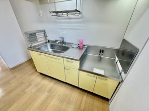 ラッフィナ-ト 0201号-4