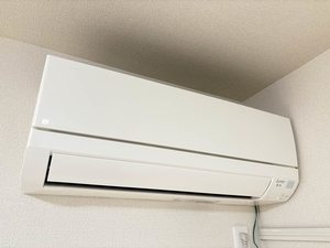 シプレーヌＭ 0105号-12