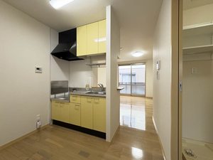 シプレーヌＭ 0105号-15