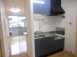 シプレーヌＭ 0202号-2