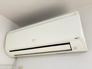 シプレーヌＭ 0202号-12