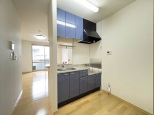 シプレーヌＭ 0202号-15