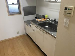 ＲＥＳＩＤＥＮＺ　ＦＡＬＫＥ 0203号-8