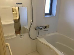 ＲＥＳＩＤＥＮＺ　ＦＡＬＫＥ 0203号-12