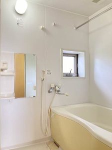 スカイタレイア 0201号-10