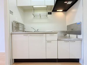 センチュリーハイツ 0203号-11