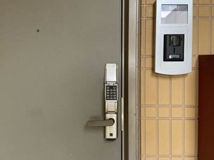 フェリーチェ B101号-13