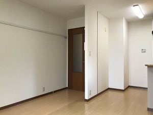 サンハイツ川崎 0202号-4