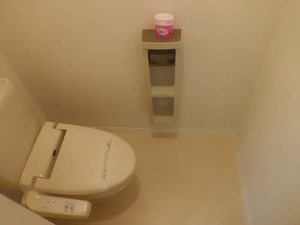 メゾン　フェリーチェ 0201号-13