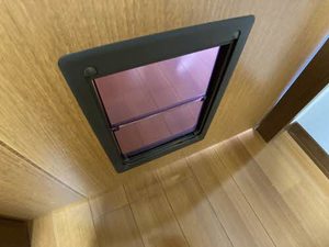 ヴィラ　タンネ　ＴＡＫＡＯＫＡ 0108号-9