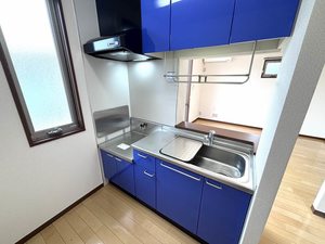 グレイスコートⅡ B201号-8