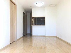 スカイハイツ大門 A102号-2