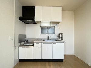 ＬａｐｉｓＬａｚｕｌｉ 0101号-4