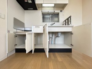 ＬａｐｉｓＬａｚｕｌｉ 0101号-5