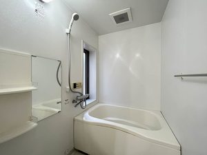 ＬａｐｉｓＬａｚｕｌｉ 0101号-14