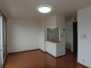 スプリングフィールド A202号-2