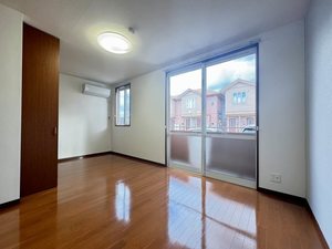 スプリングフィールド C102号-3