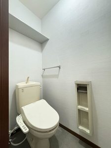 スプリングフィールド C102号-8