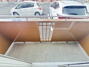 スプリングフィールド C102号-10