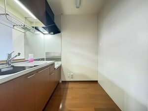 スプリングフィールド C102号-14