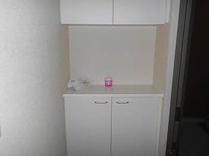 ＷＩＮＧ　２３０ 0101号-3