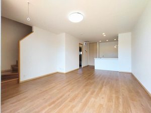 セルリアンコート E02号-2