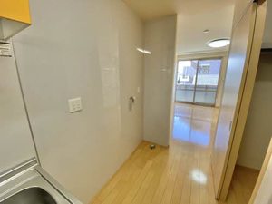 シャインⅢ 3203号-7