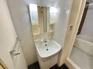 シャインⅢ 3203号-9