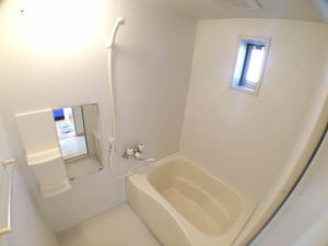 パストラルハイム 0205号-9