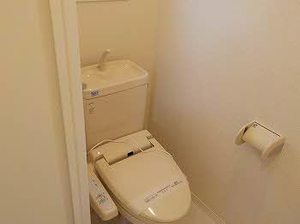 ＳｈａＭａｉｓｏｎ　Ｍｉｃｋｅｙ 0201号-7