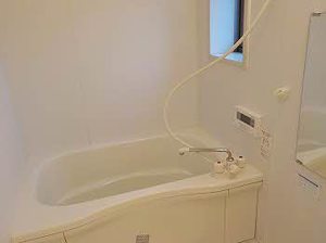 ＳｈａＭａｉｓｏｎ　Ｍｉｃｋｅｙ 0201号-9