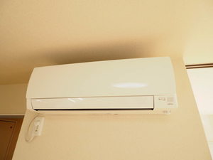 スカリエッティ 0101号-8