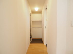 スカリエッティ 0102号-9