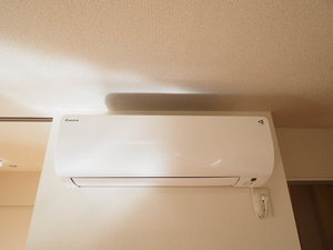 スカリエッティ 0102号-13