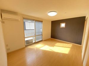 ルミエール片山 0203号-3