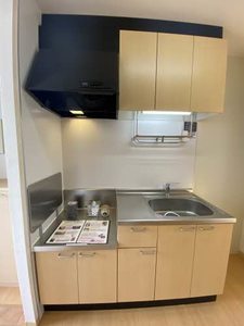 ルミエール片山 0203号-6