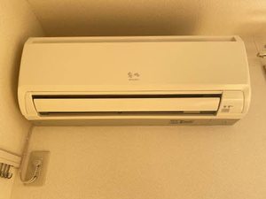 ルミエール片山 0203号-10