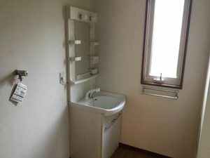 ビューラーはるか B101号-10