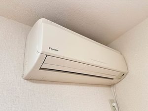 ビューラーはるか B102号-11