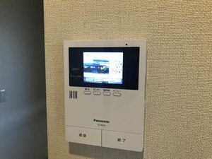 ビューラーはるか B201号-5