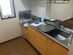 ビューラーはるか B201号-6