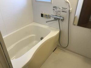 ビューラーはるか B201号-7