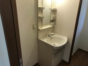 ビューラーはるか B201号-9