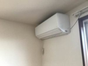 ビューラーはるか B201号-10