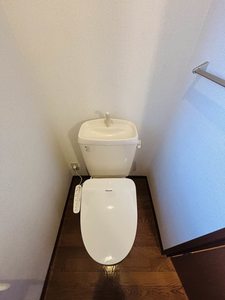 ビューラーはるか B201号-13