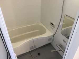 シャーメゾンキクチ A101号-9